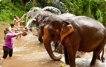 www.rotaryclubtours.com